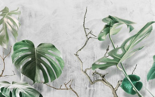 چاپ پوستر دیواری مناسب برای منازل طرح برگ سبز و پس زمینه سفید